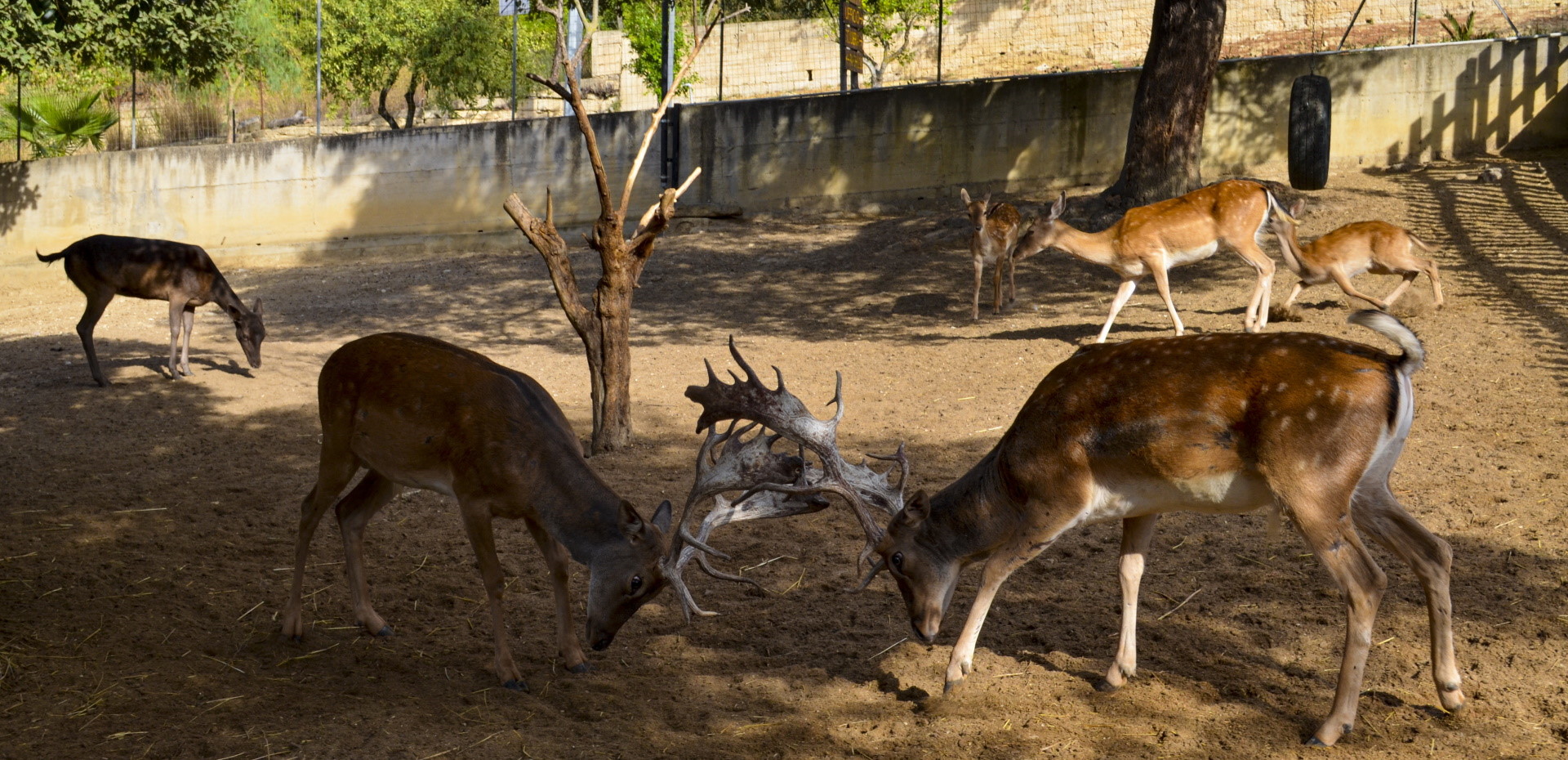 S.C.S. ALISEA ONLUS | Fattoria Sociale